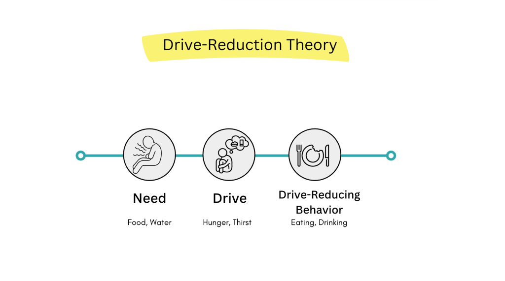 Drive-Reduction Theory of Motivation Psychology